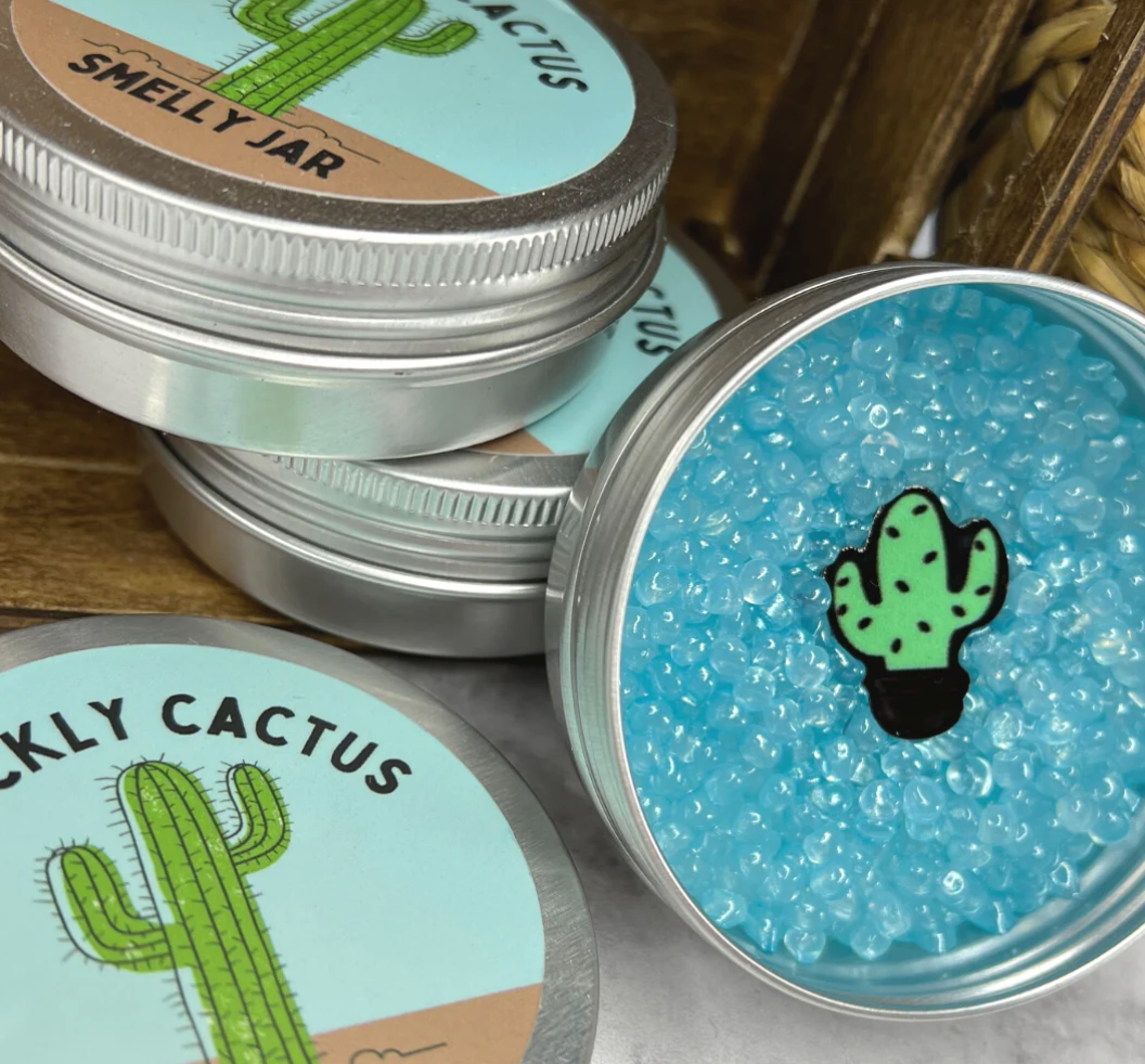 Prickly Cactus Smelly Car Jar