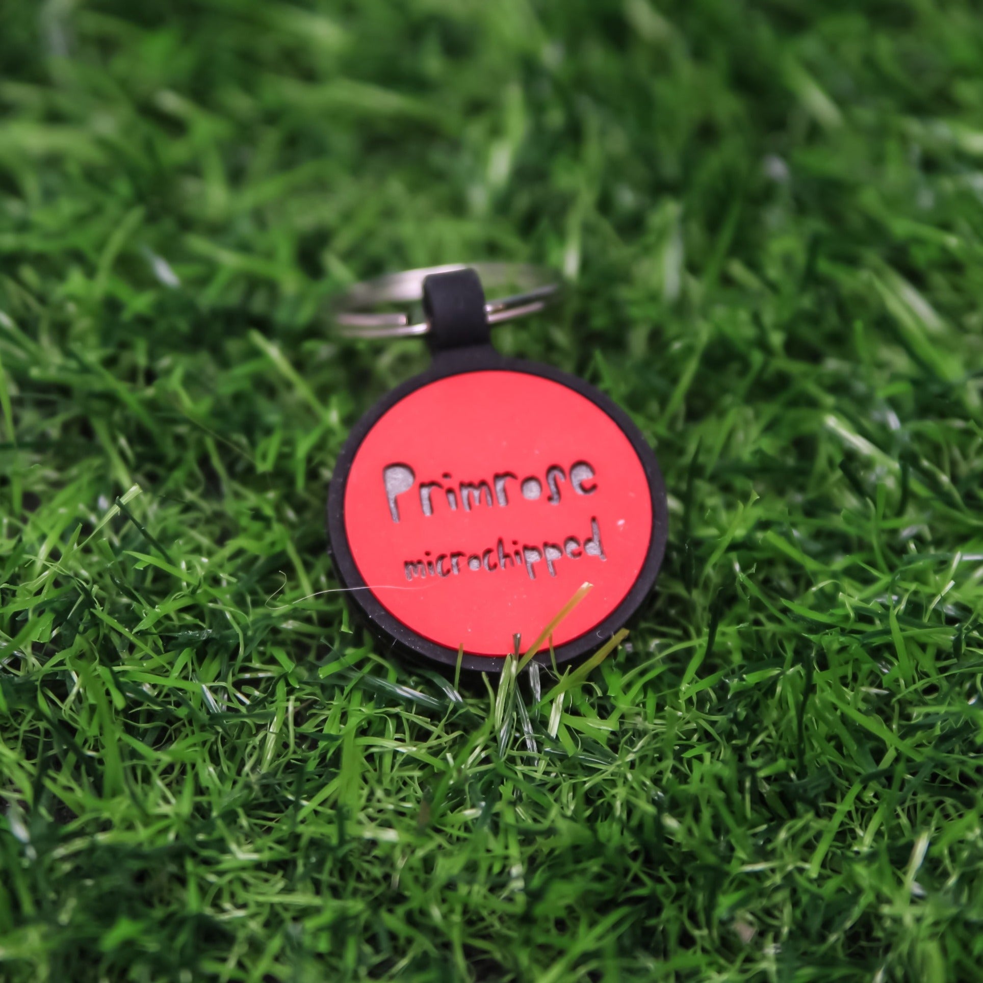 Silent Engraved Silicone Dog Tag