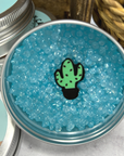 Prickly Cactus Smelly Jar